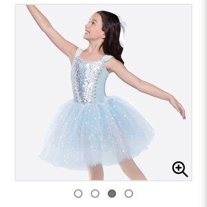 Revolution "A Winter Walk" tutu ballet dance costume